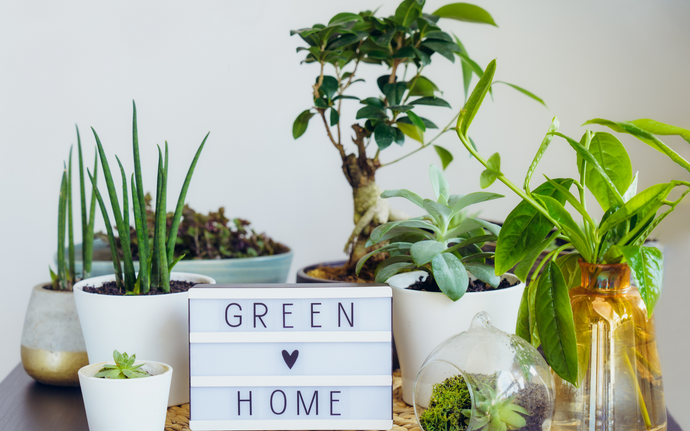 9 Easy Ways To Make Your Home Greener