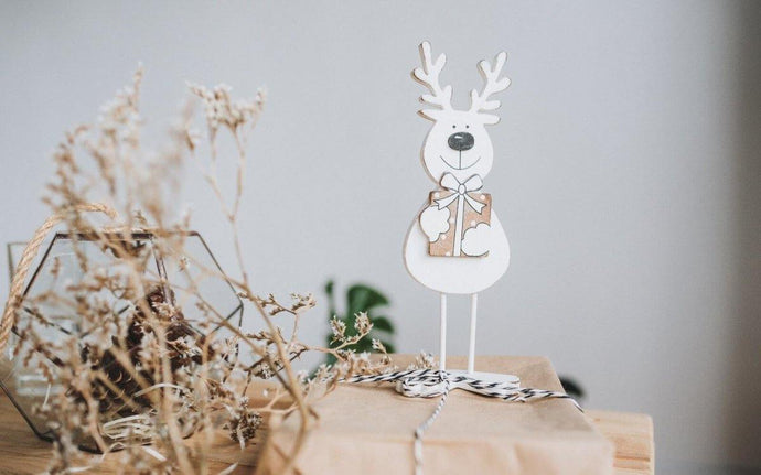 Eco-friendly Christmas Gift Wrapping Ideas, Tips and Tricks