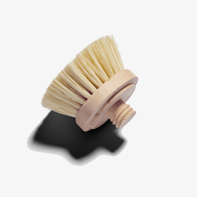 Modular Dish Brush Head