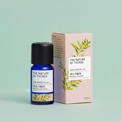 Tea Tree Essential Oil - 12ml - The Nature Of Things - Essential Oils, Gifts, Green Pioneer, Natural, The Nature Of Things, Vegan Friendly - The Ideal Sunday